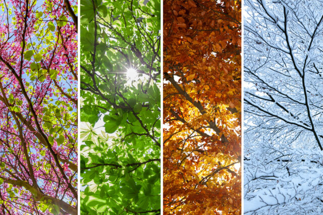 HVAC seasons spring, summer, winter and fall